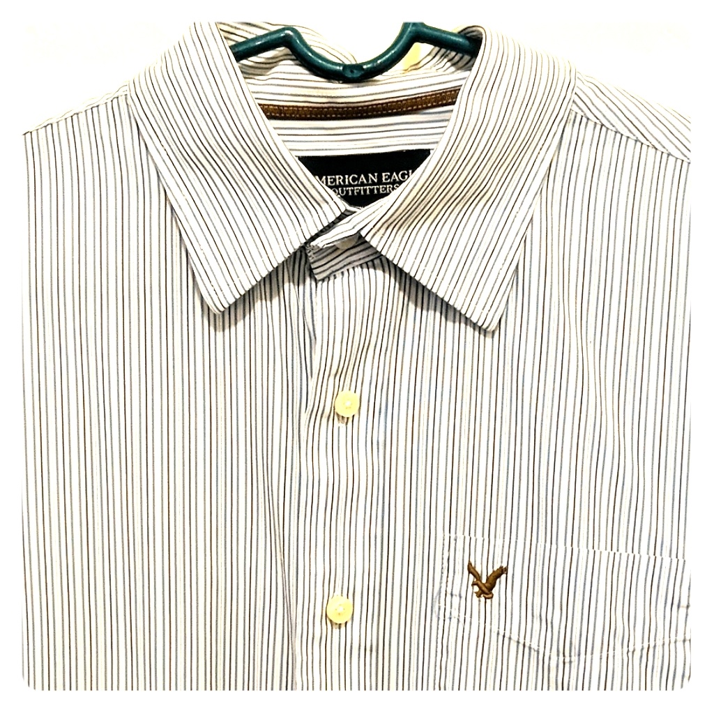 American Eagle Button Front